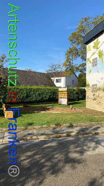 © Artenschutz in Franken® Bild zum Eintrag (1094487-160)