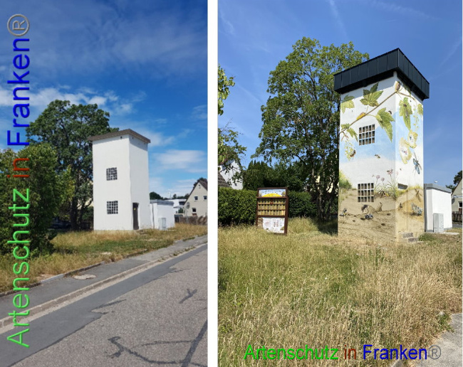 © Artenschutz in Franken® Bild zum Eintrag (1094489-160)