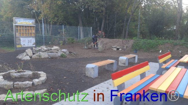 © Artenschutz in Franken® Bild zum Eintrag (1094935-160)