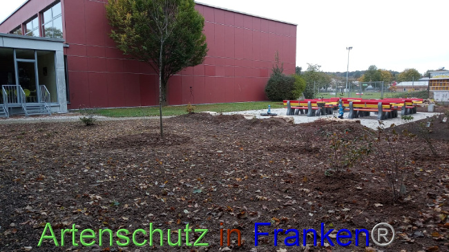 © Artenschutz in Franken® Bild zum Eintrag (1094941-160)