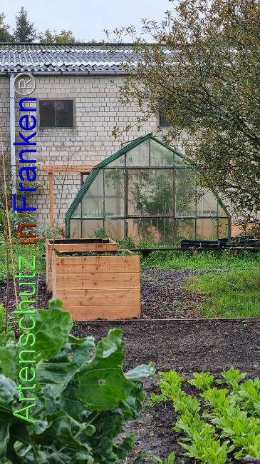 © Artenschutz in Franken® Bild zum Eintrag (1094954-160)
