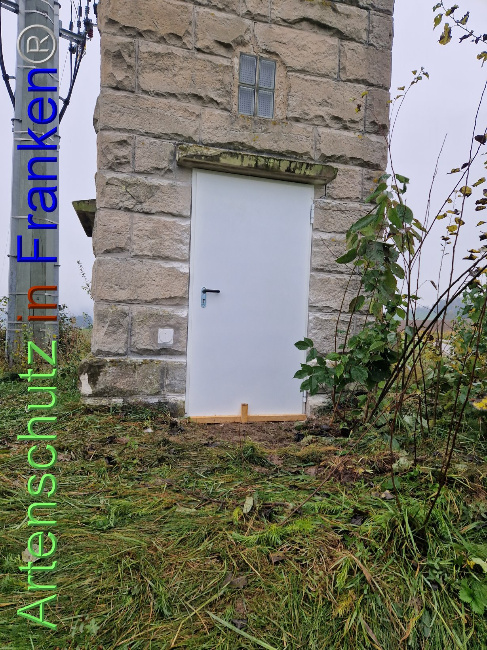 © Artenschutz in Franken® Bild zum Eintrag (1094983-160)