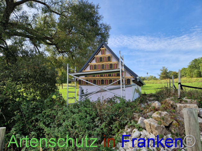 © Artenschutz in Franken® Bild zum Eintrag (1095009-160)