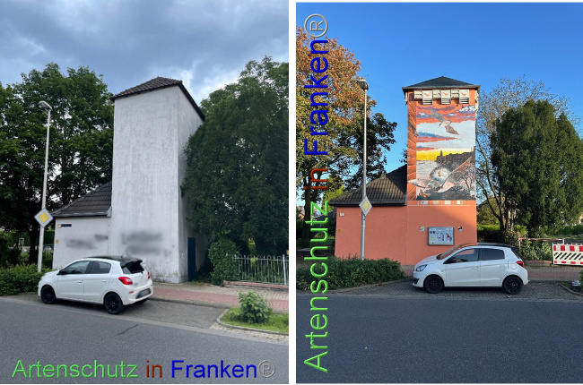 © Artenschutz in Franken® Bild zum Eintrag (1095013-160)