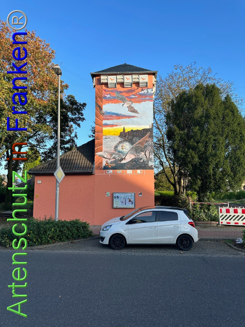© Artenschutz in Franken® Bild zum Eintrag (1095021-160)