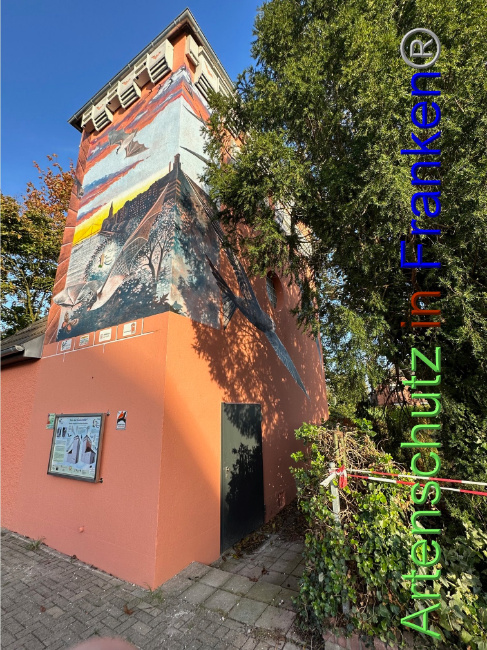© Artenschutz in Franken® Bild zum Eintrag (1095024-160)