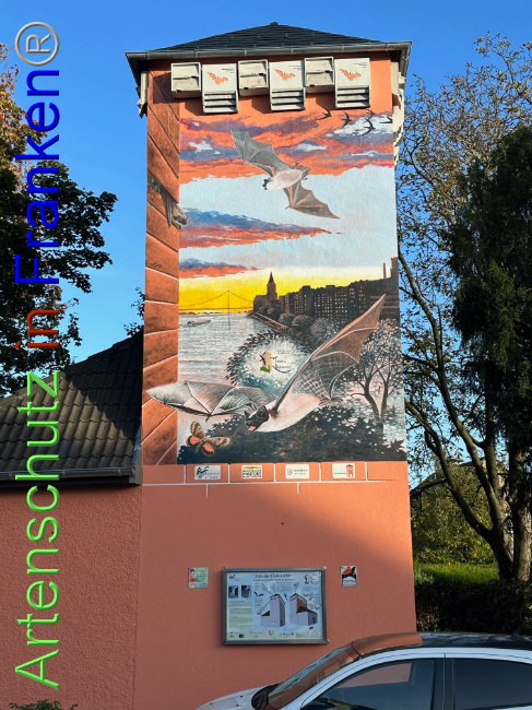 © Artenschutz in Franken® Bild zum Eintrag (1095025-160)