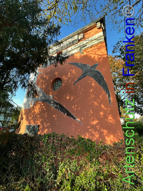© Artenschutz in Franken® Bild zum Eintrag (1095030-160)