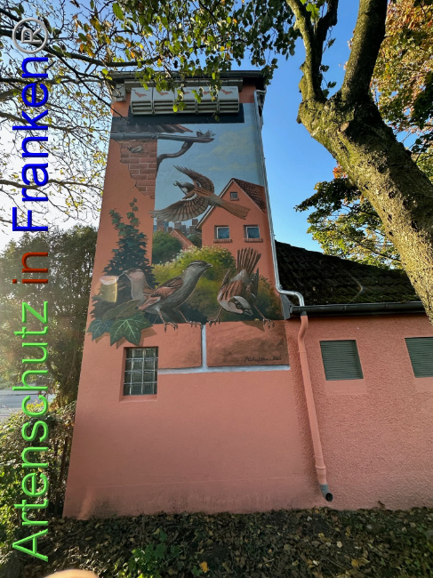 © Artenschutz in Franken® Bild zum Eintrag (1095031-160)