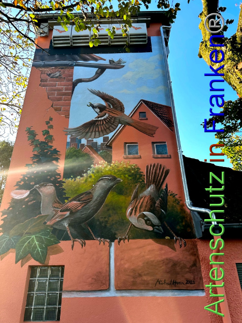 © Artenschutz in Franken® Bild zum Eintrag (1095032-160)