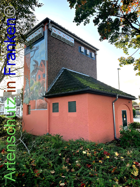 © Artenschutz in Franken® Bild zum Eintrag (1095036-160)