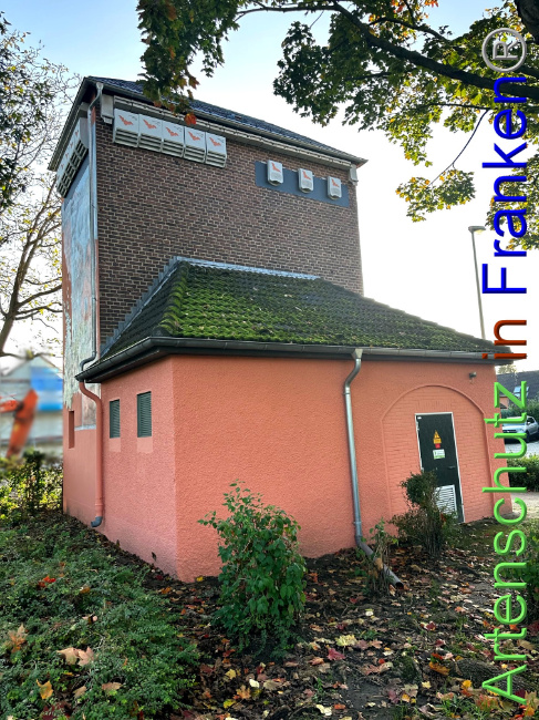 © Artenschutz in Franken® Bild zum Eintrag (1095037-160)