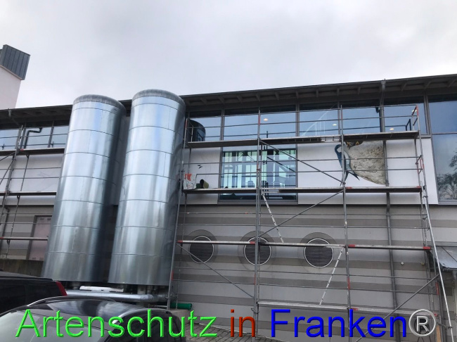 © Artenschutz in Franken® Bild zum Eintrag (1095048-160)