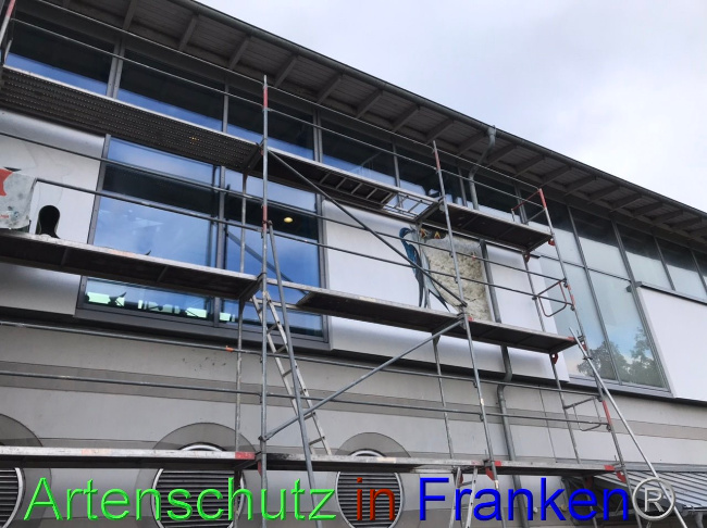 © Artenschutz in Franken® Bild zum Eintrag (1095049-160)