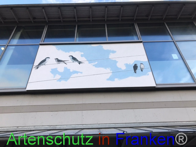 © Artenschutz in Franken® Bild zum Eintrag (1095052-160)