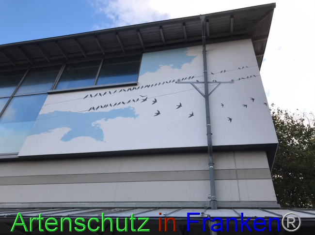 © Artenschutz in Franken® Bild zum Eintrag (1095054-160)