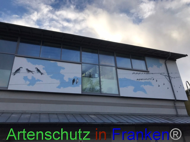 © Artenschutz in Franken® Bild zum Eintrag (1095055-160)