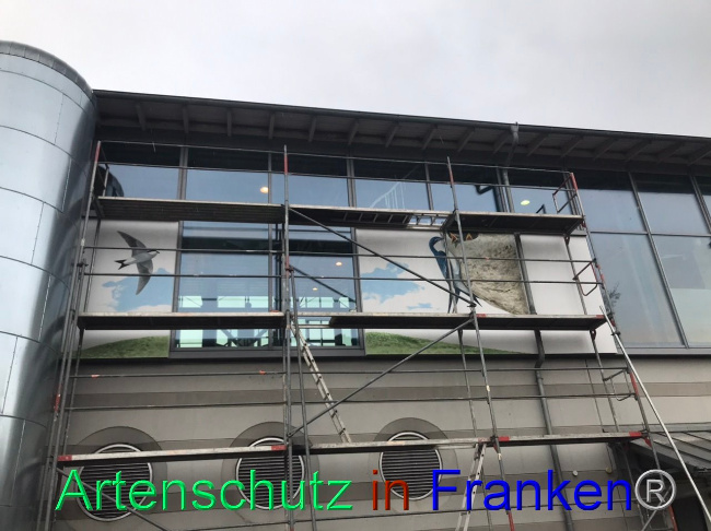 © Artenschutz in Franken® Bild zum Eintrag (1095192-160)