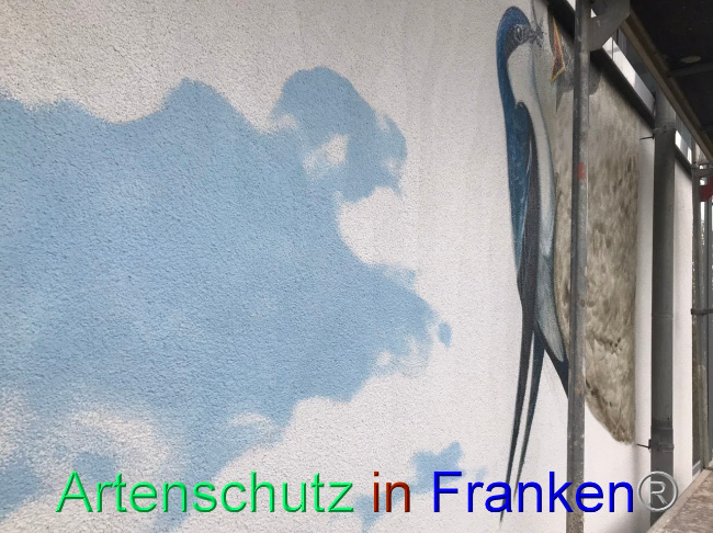 © Artenschutz in Franken® Bild zum Eintrag (1095194-160)