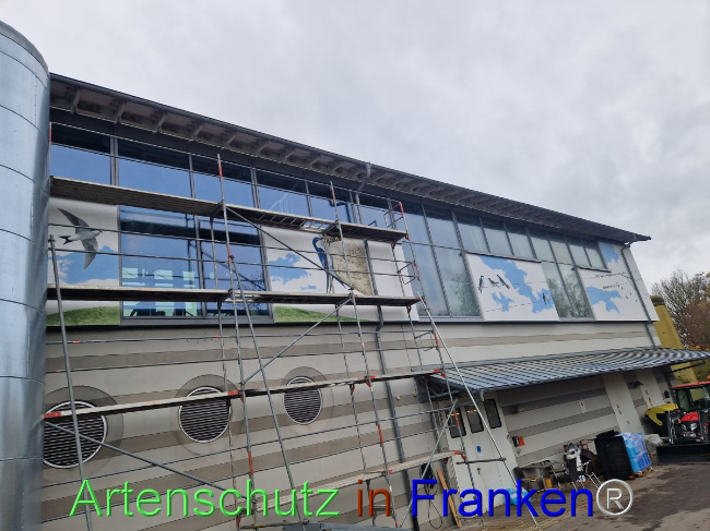 © Artenschutz in Franken® Bild zum Eintrag (1095572-160)