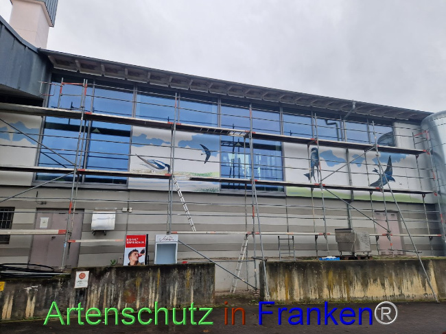 © Artenschutz in Franken® Bild zum Eintrag (1095573-160)