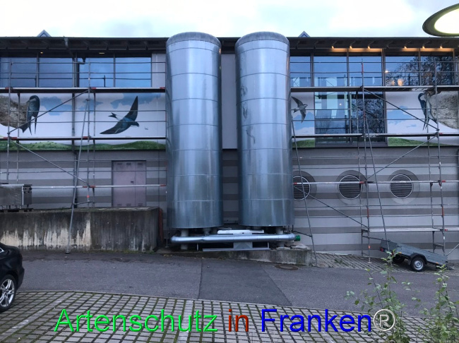 © Artenschutz in Franken® Bild zum Eintrag (1095574-160)