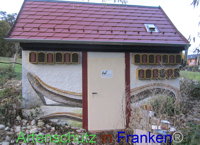 © Artenschutz in Franken® Bild zum Eintrag (1095588-160)