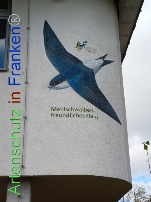 © Artenschutz in Franken® Bild zum Eintrag (1095719-160)