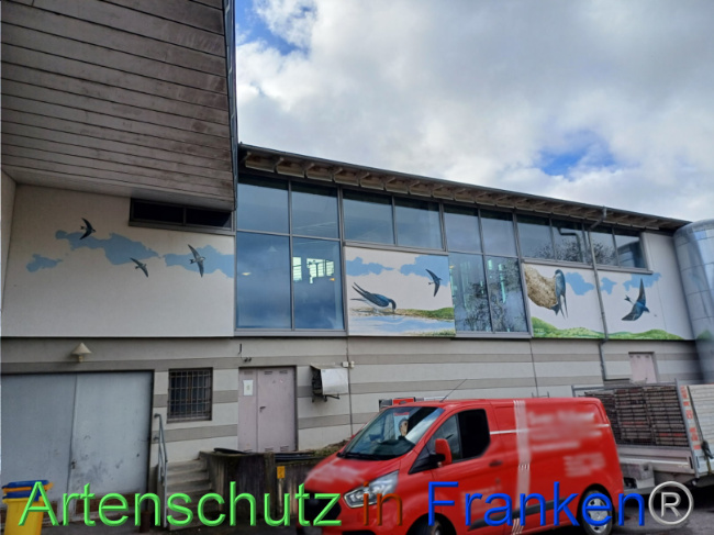 © Artenschutz in Franken® Bild zum Eintrag (1095722-160)