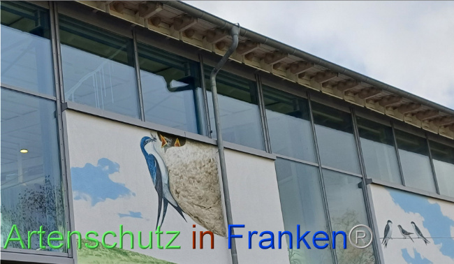 © Artenschutz in Franken® Bild zum Eintrag (1095724-160)