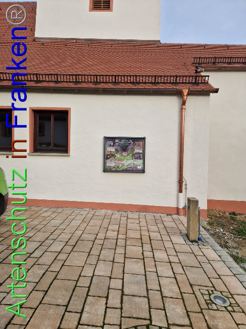 © Artenschutz in Franken® Bild zum Eintrag (1095764-160)