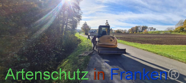 © Artenschutz in Franken® Bild zum Eintrag (1095992-160)