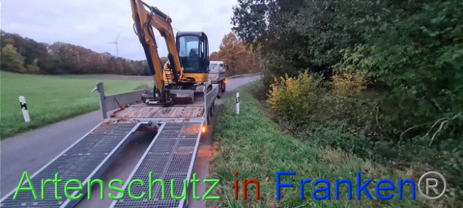 © Artenschutz in Franken® Bild zum Eintrag (1095993-160)