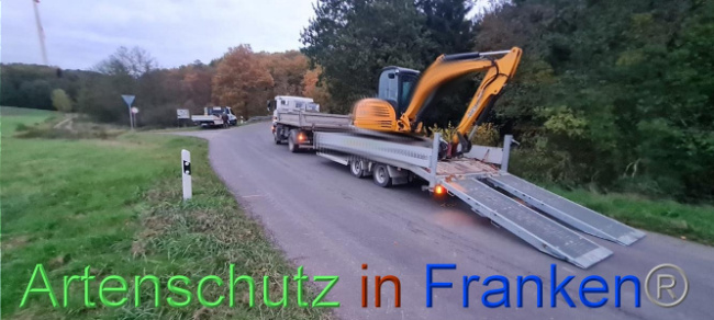 © Artenschutz in Franken® Bild zum Eintrag (1095994-160)