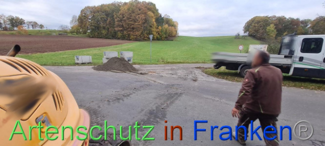 © Artenschutz in Franken® Bild zum Eintrag (1096001-160)