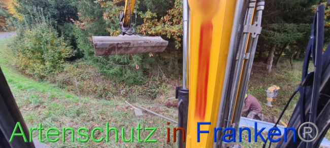 © Artenschutz in Franken® Bild zum Eintrag (1096008-160)