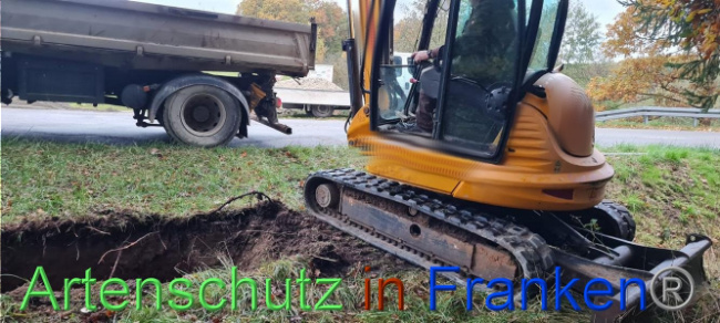 © Artenschutz in Franken® Bild zum Eintrag (1096010-160)