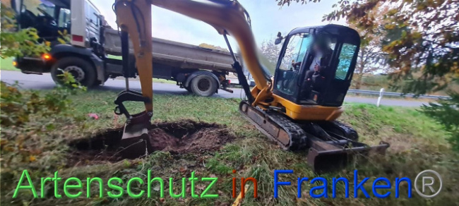 © Artenschutz in Franken® Bild zum Eintrag (1096011-160)