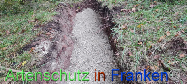 © Artenschutz in Franken® Bild zum Eintrag (1096016-160)