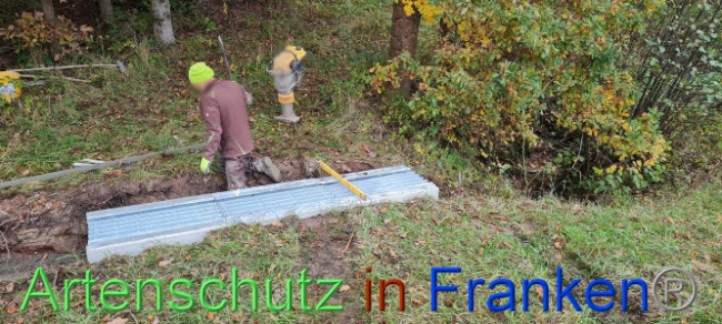 © Artenschutz in Franken® Bild zum Eintrag (1096021-160)