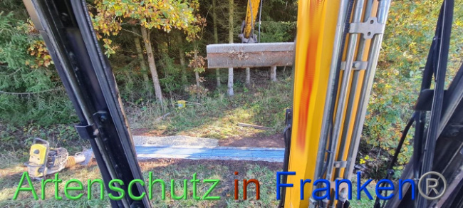 © Artenschutz in Franken® Bild zum Eintrag (1096025-160)