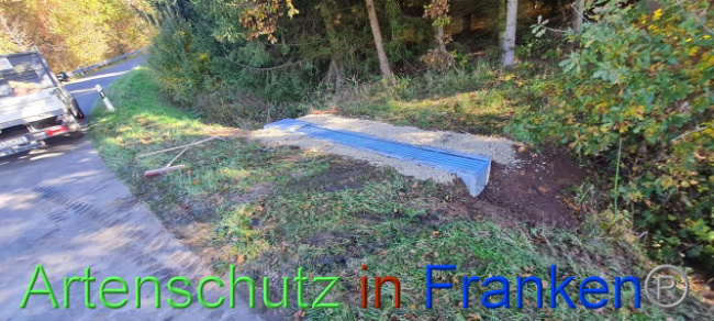 © Artenschutz in Franken® Bild zum Eintrag (1096026-160)