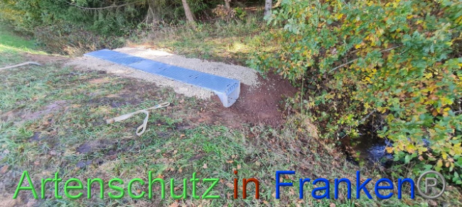© Artenschutz in Franken® Bild zum Eintrag (1096027-160)