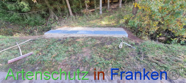 © Artenschutz in Franken® Bild zum Eintrag (1096029-160)