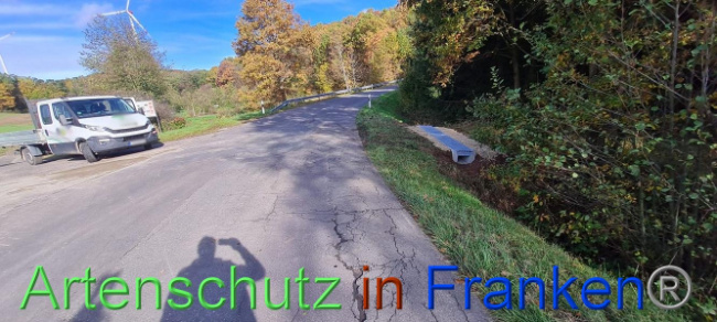 © Artenschutz in Franken® Bild zum Eintrag (1096030-160)