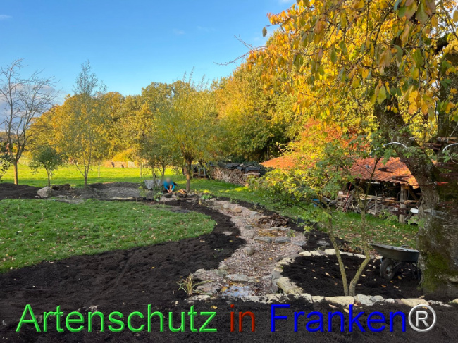 © Artenschutz in Franken® / Vennemann Bild zum Eintrag (1096096-160)