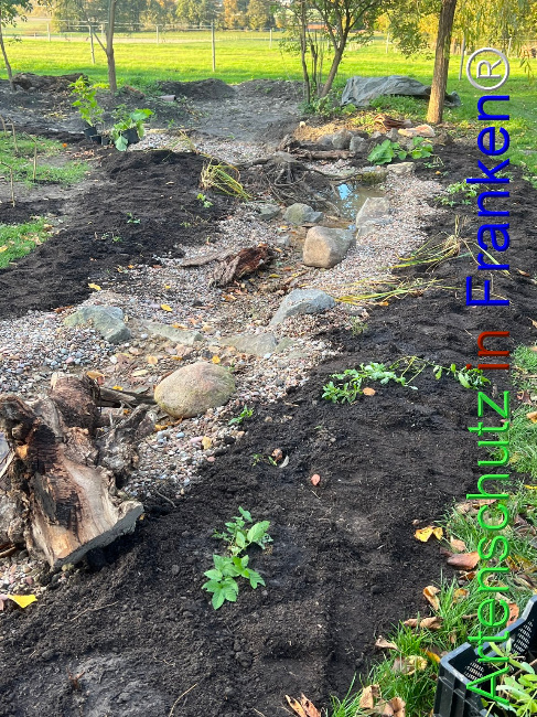 © Artenschutz in Franken® / Vennemann Bild zum Eintrag (1096099-160)
