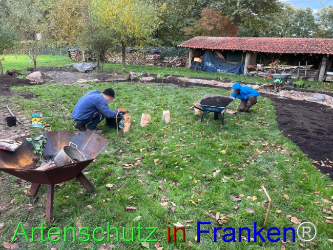 © Artenschutz in Franken® / Vennemann Bild zum Eintrag (1096100-160)