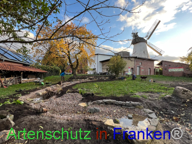 Bild zum Eintrag (1096102-160)