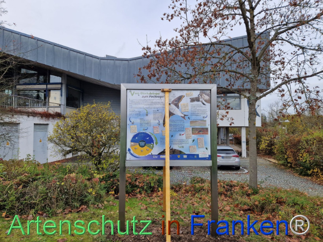 Bild zum Eintrag (1096337-160)